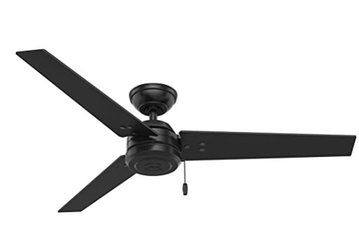 best ceiling fan brands: Hunter Cassius Indoor / Outdoor Ceiling Fan